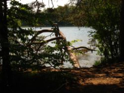 2013-06-08_Radtour_Iffeldorf-Aiderbichl (146).JPG